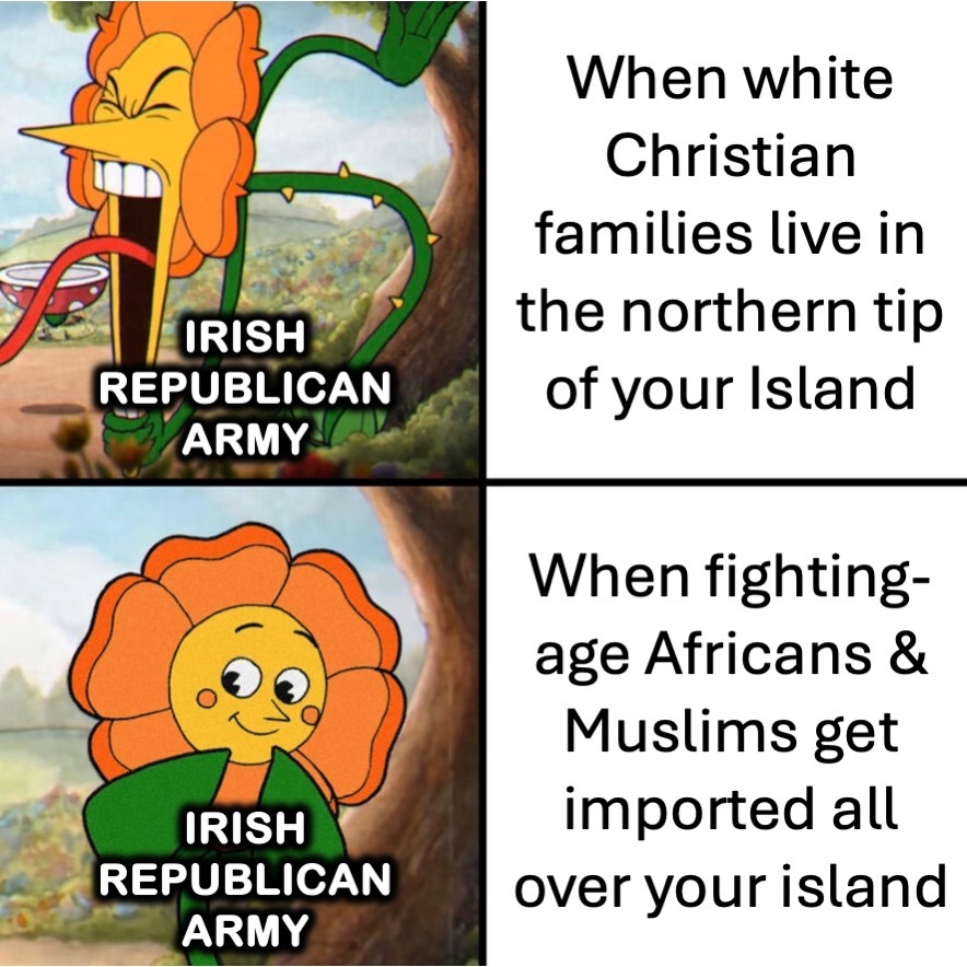 Where's the IRA? - meme
