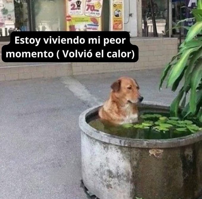 Volvió el calor - meme