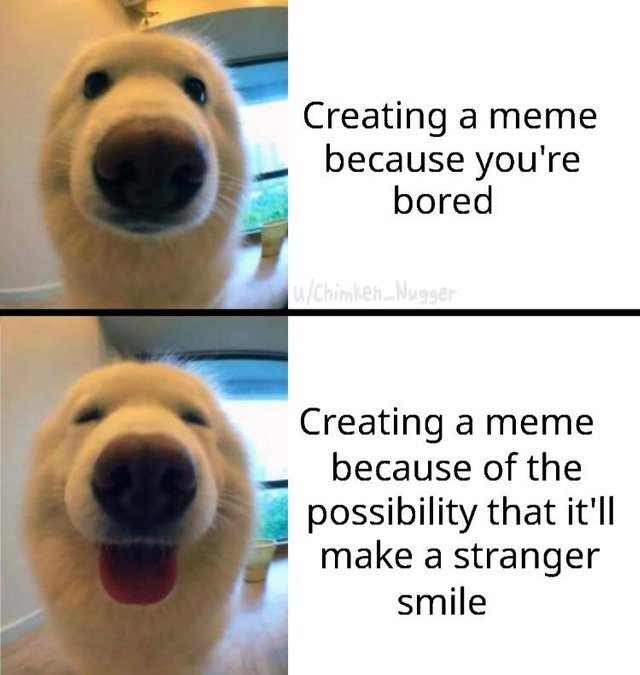 Spread the happiness with memes