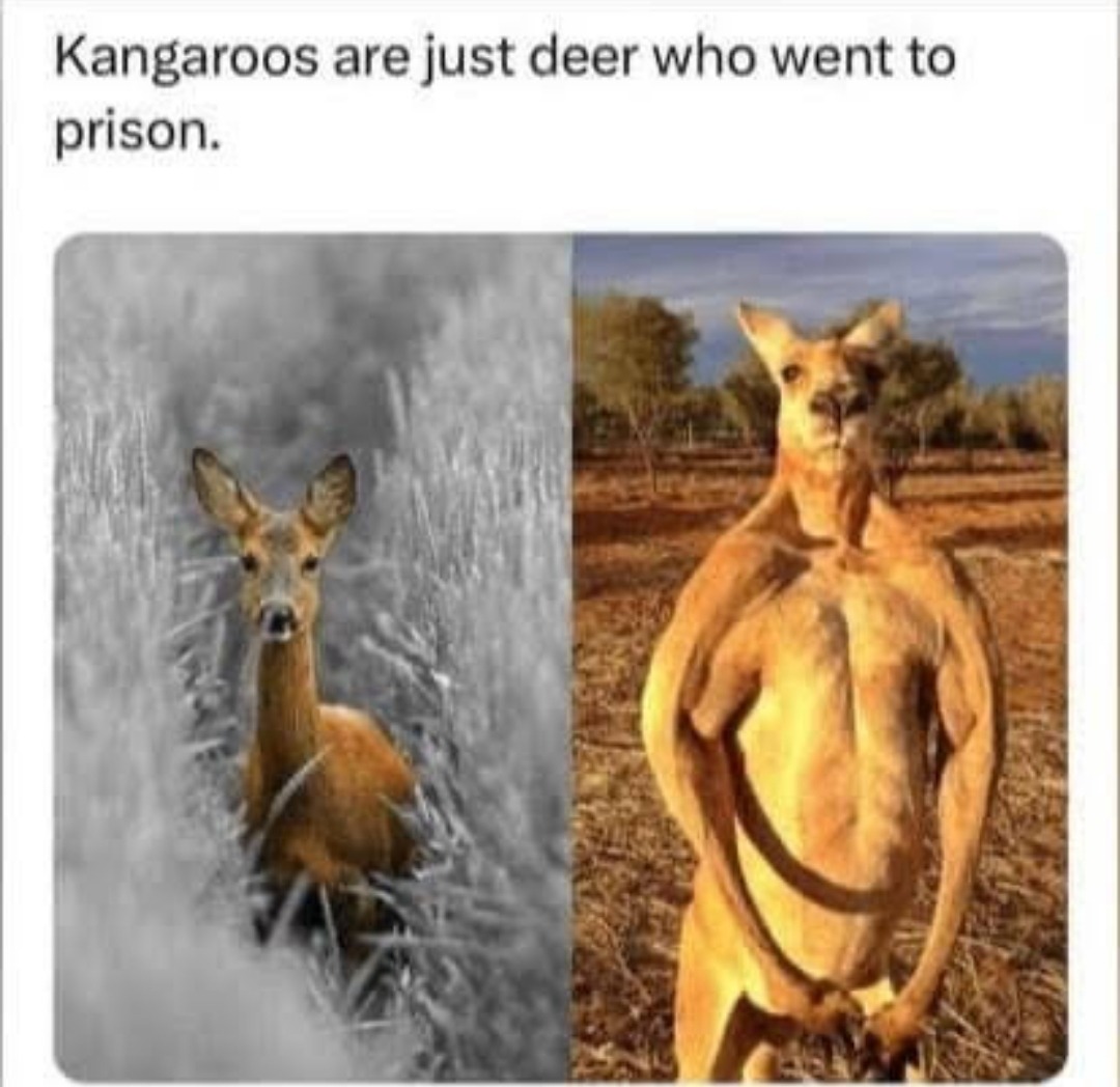 Deer Penal Colony of Australia - meme