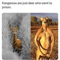 Deer Penal Colony of Australia