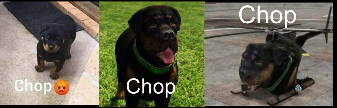 Chop Chop Chop - meme