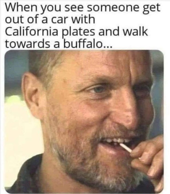 ﻿When you see someone out of a car with California plates and walk towards a buffalo. get