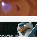 Kowalski, explain WHAT THE F**K IS HAPPENING HERE?!