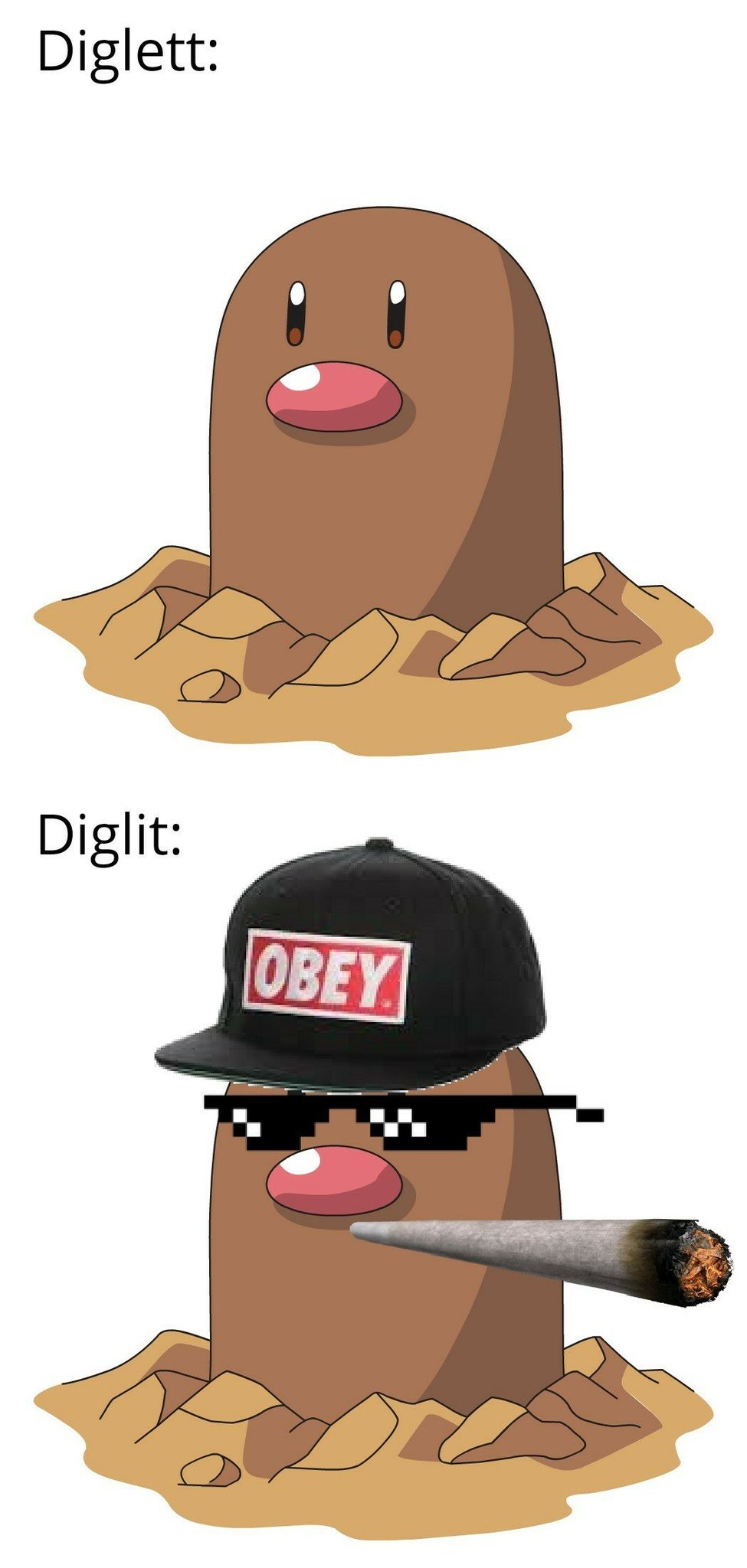 DigLit - meme