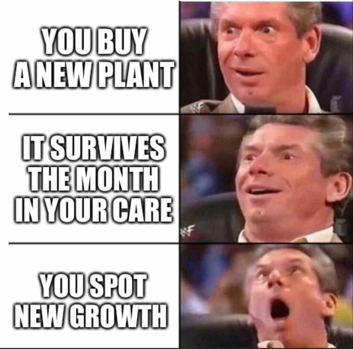 Plants are the new pets - meme
