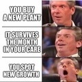 Plants are the new pets