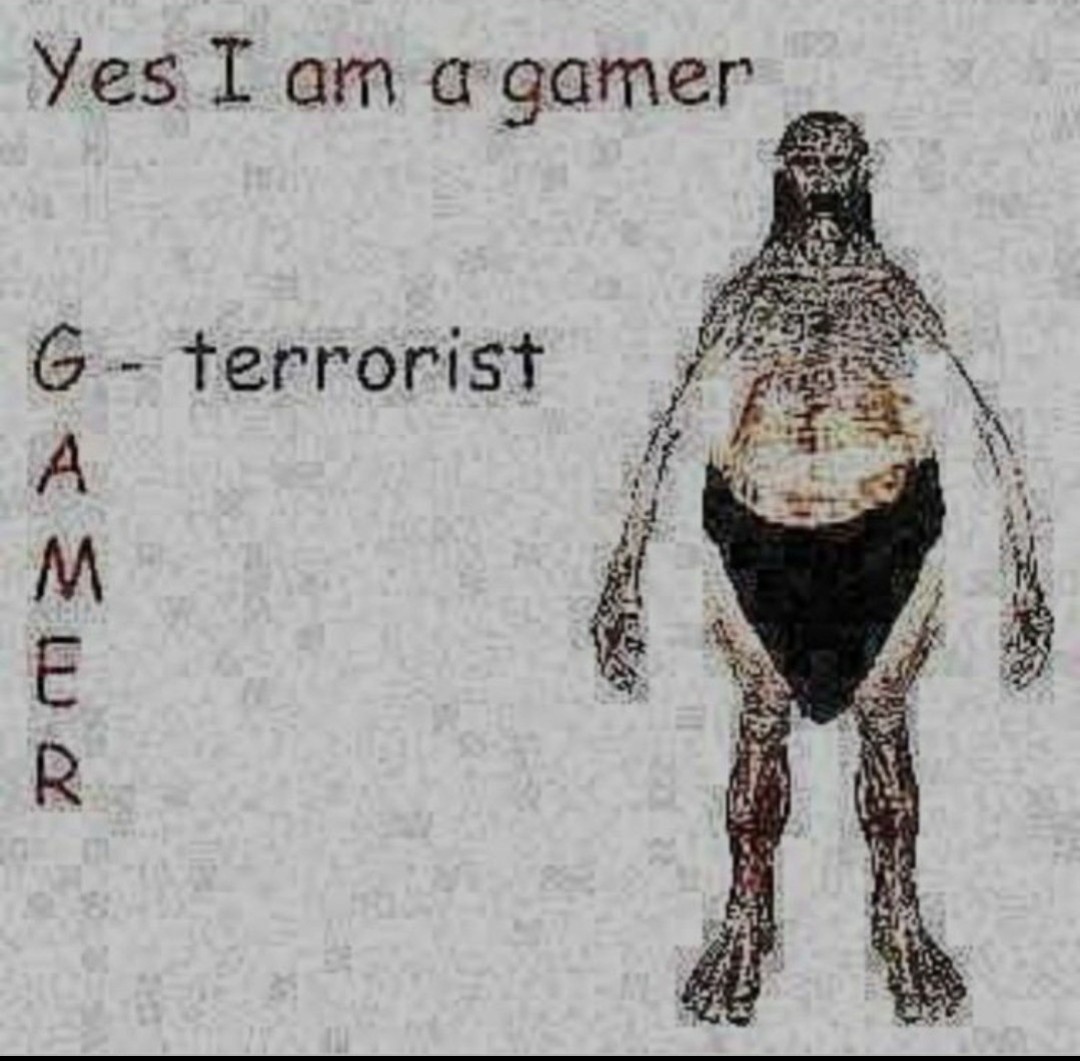 Gamer: Gay, Autism, mom, eutrophication, rola - meme