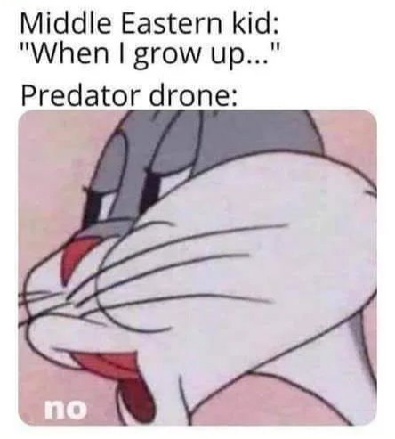 Kids and Drones - meme