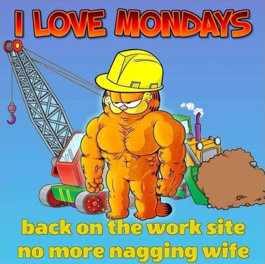 Swole Garfield love mondays - meme