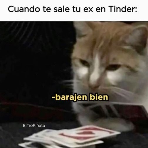 when te sale tu ex en Tinder - meme