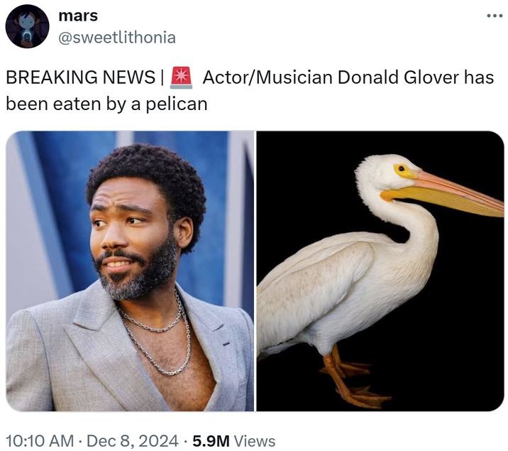 Eaten by a Pelican meme