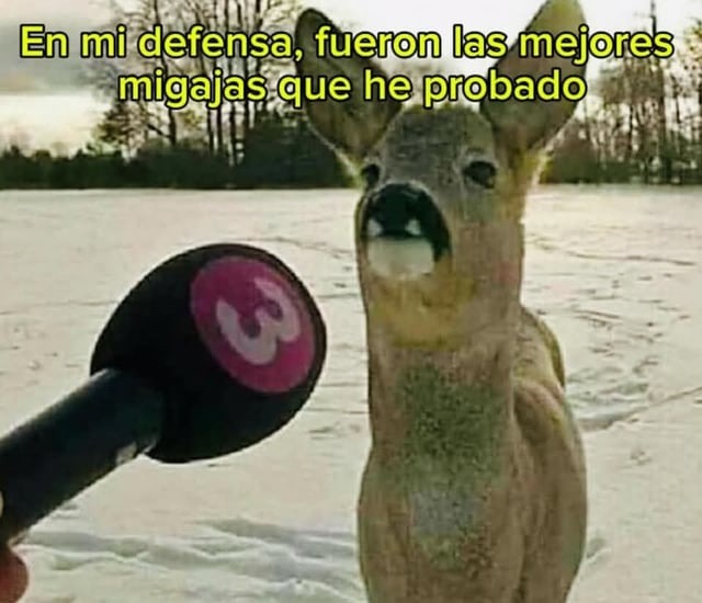 Eran migajas, pero sabían a gloria bendita - meme