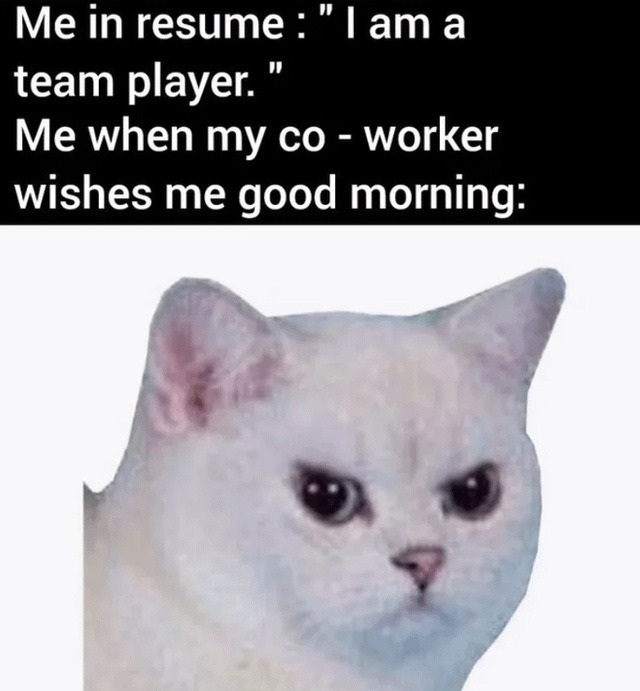 Resume says team player, coworker says good morning champ - meme
