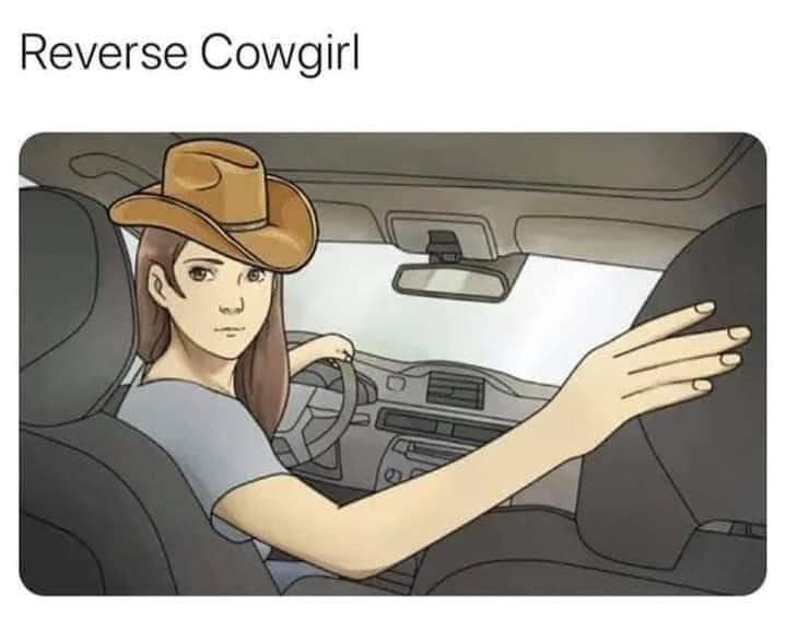 Save a horse ride a cowgirl - meme