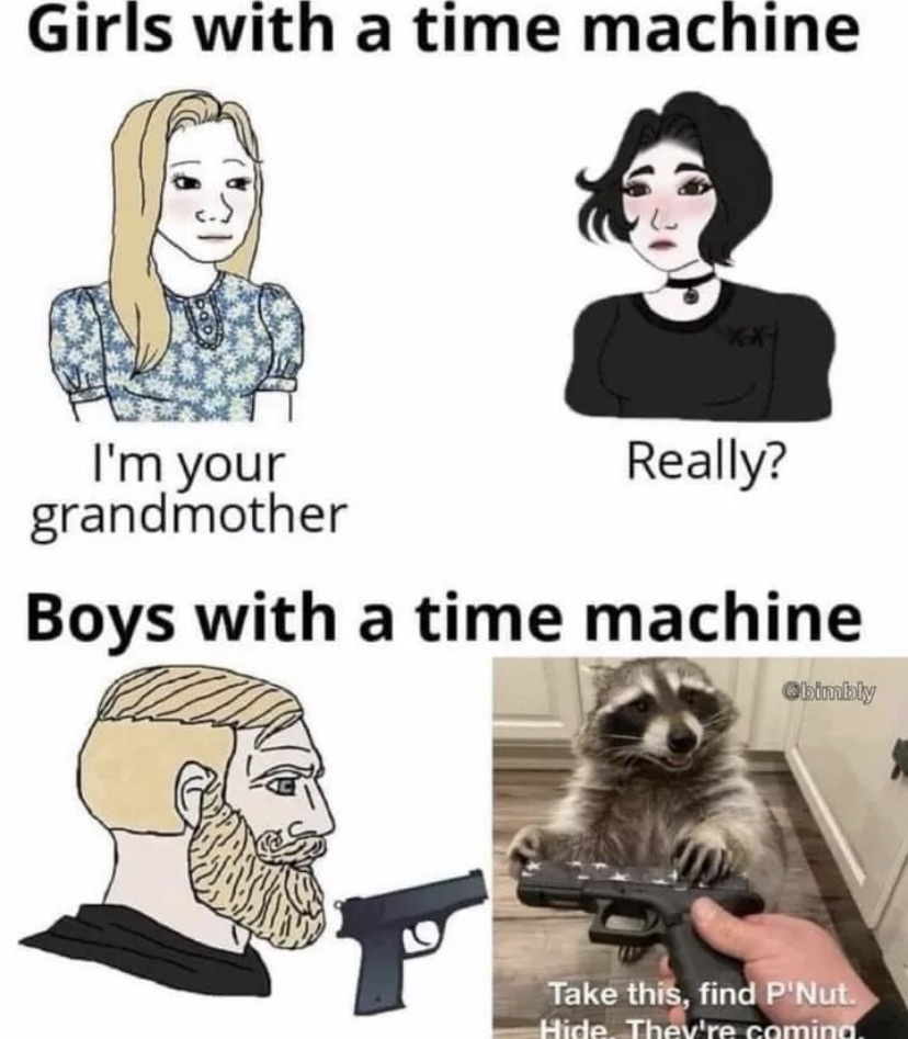 boys vs. girls with a time machine - meme