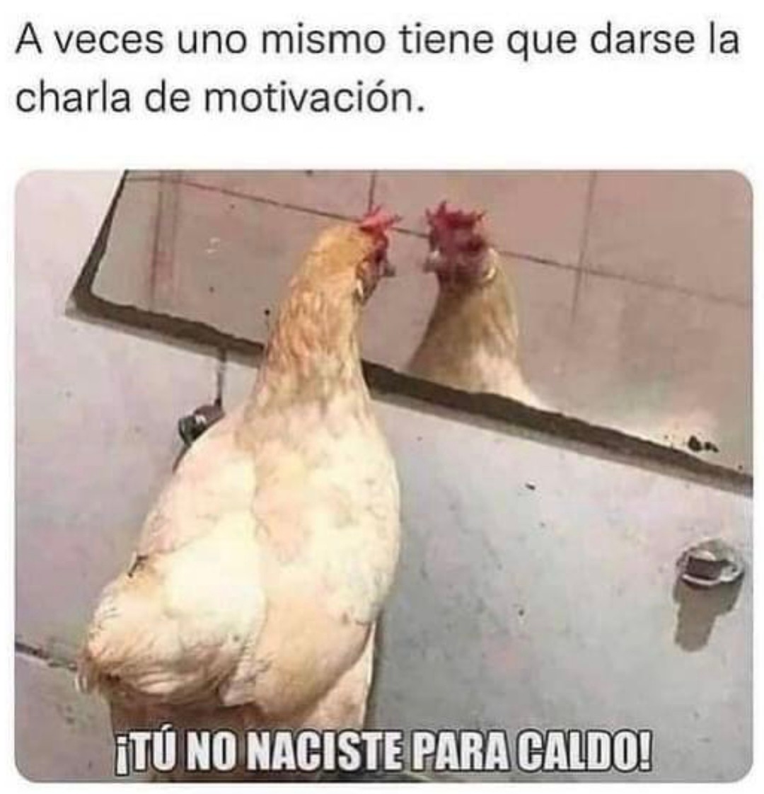 A veces hay que motivarse solo con frases random - meme