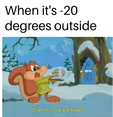 When it's negative 20 degrees - meme