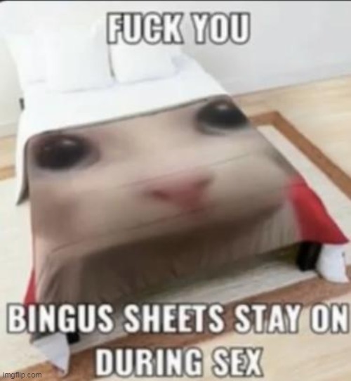 The best memes ) Memedroid