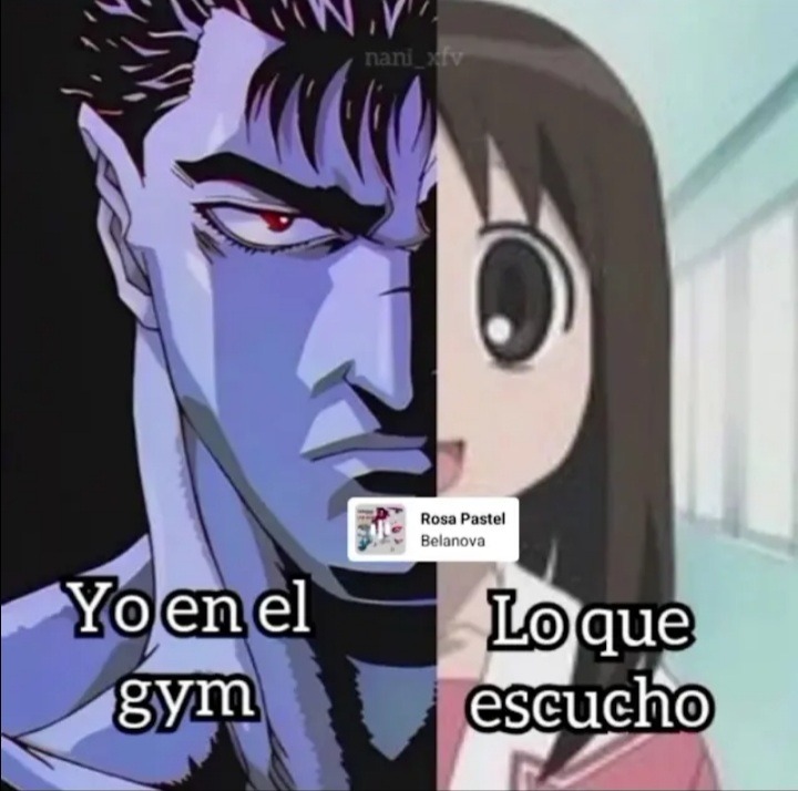 Solo hay dos generos musicles: las canciones que me gustan y la mrd - meme