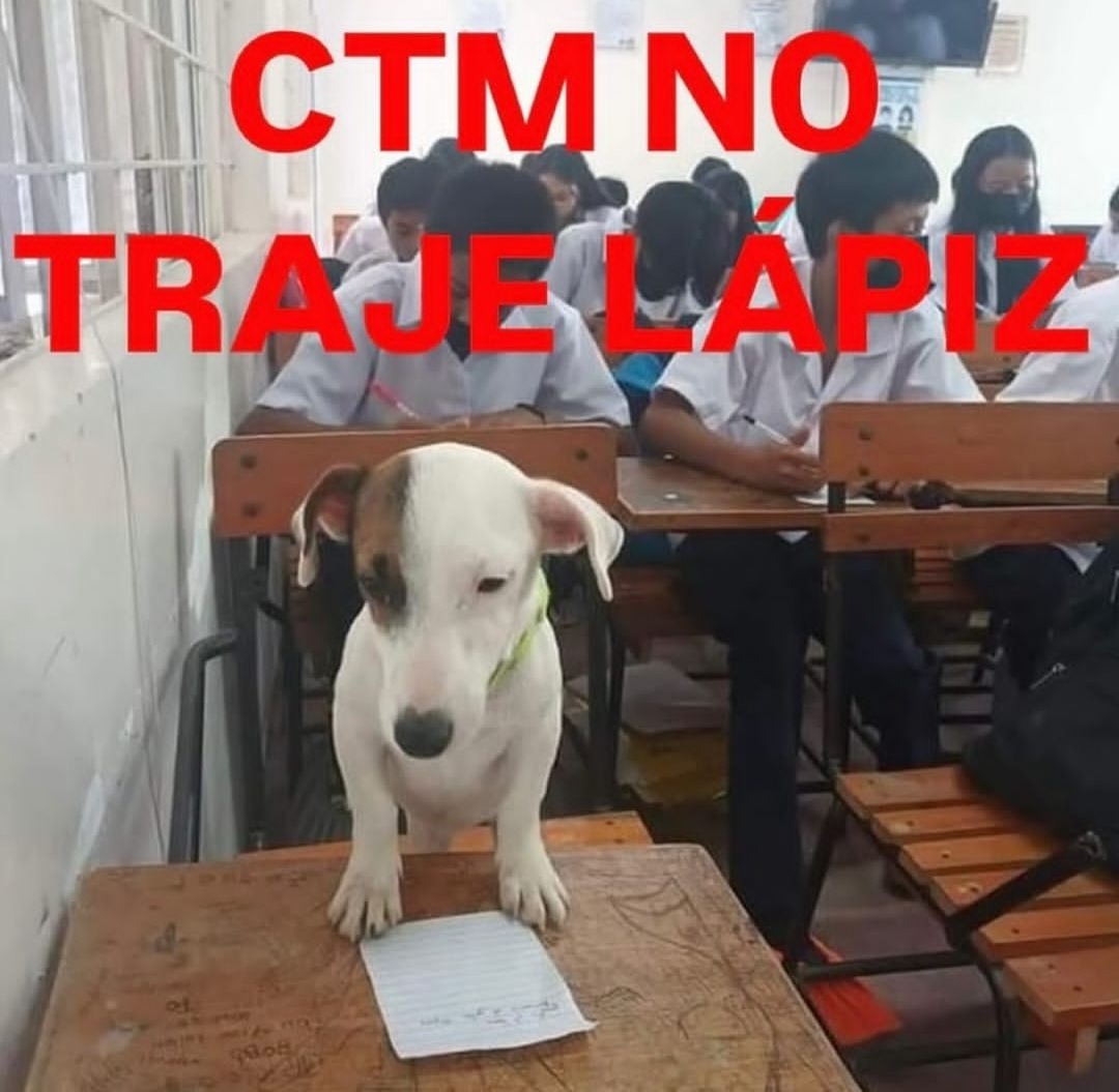 Me prestan uns lapicera? - meme