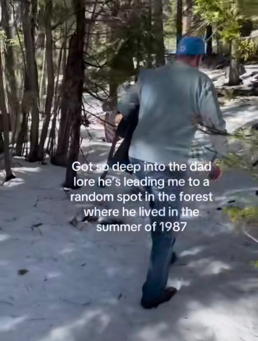 When your dad unlocks the secret forest DLC - meme