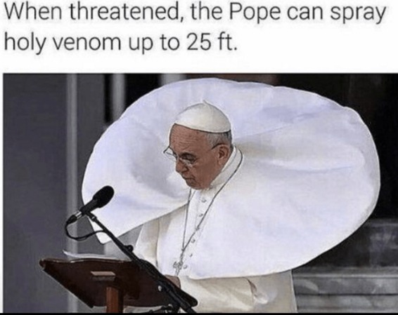 Beware the pope - meme
