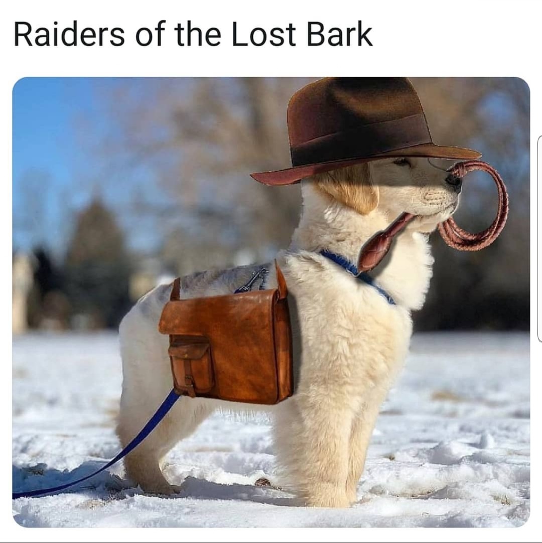 Raiders of the lost bark - meme