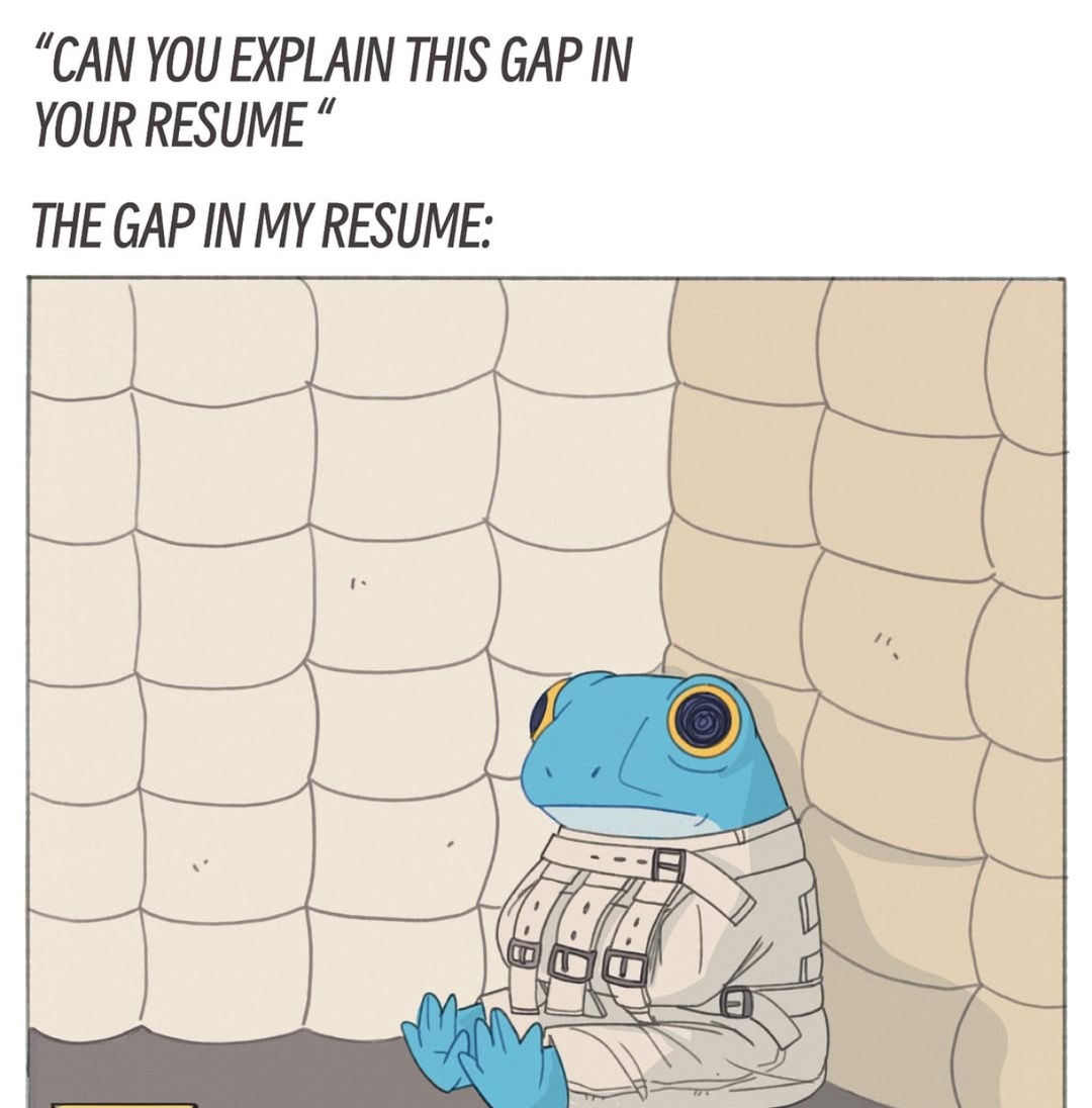 The gap in my resume? oh I was just respawning - meme