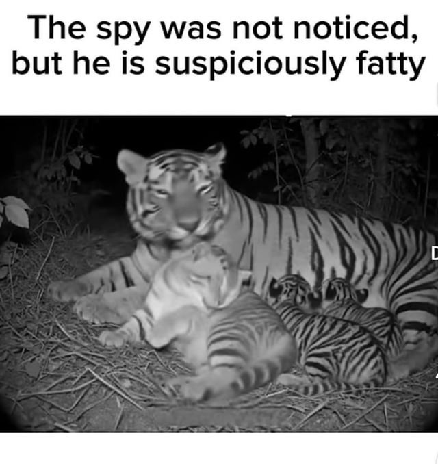 stealth level: chunky - meme