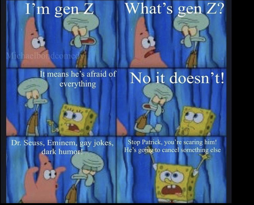 gen z for stupidity - meme