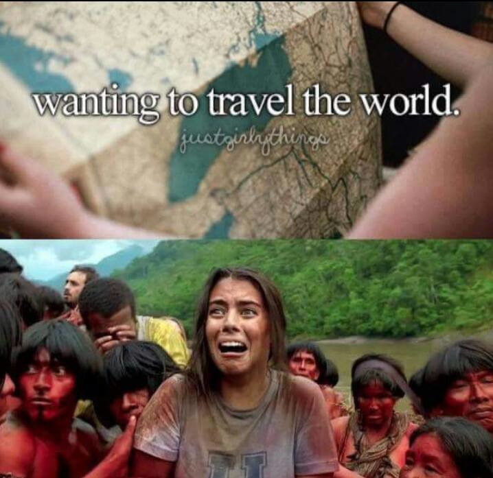 Traveling around the world: expectation vs reality - meme