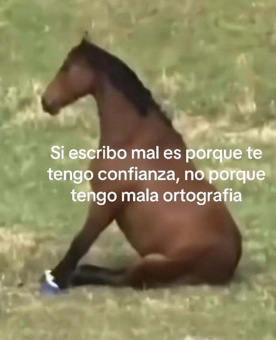 Que tal escriben ustedes? - meme