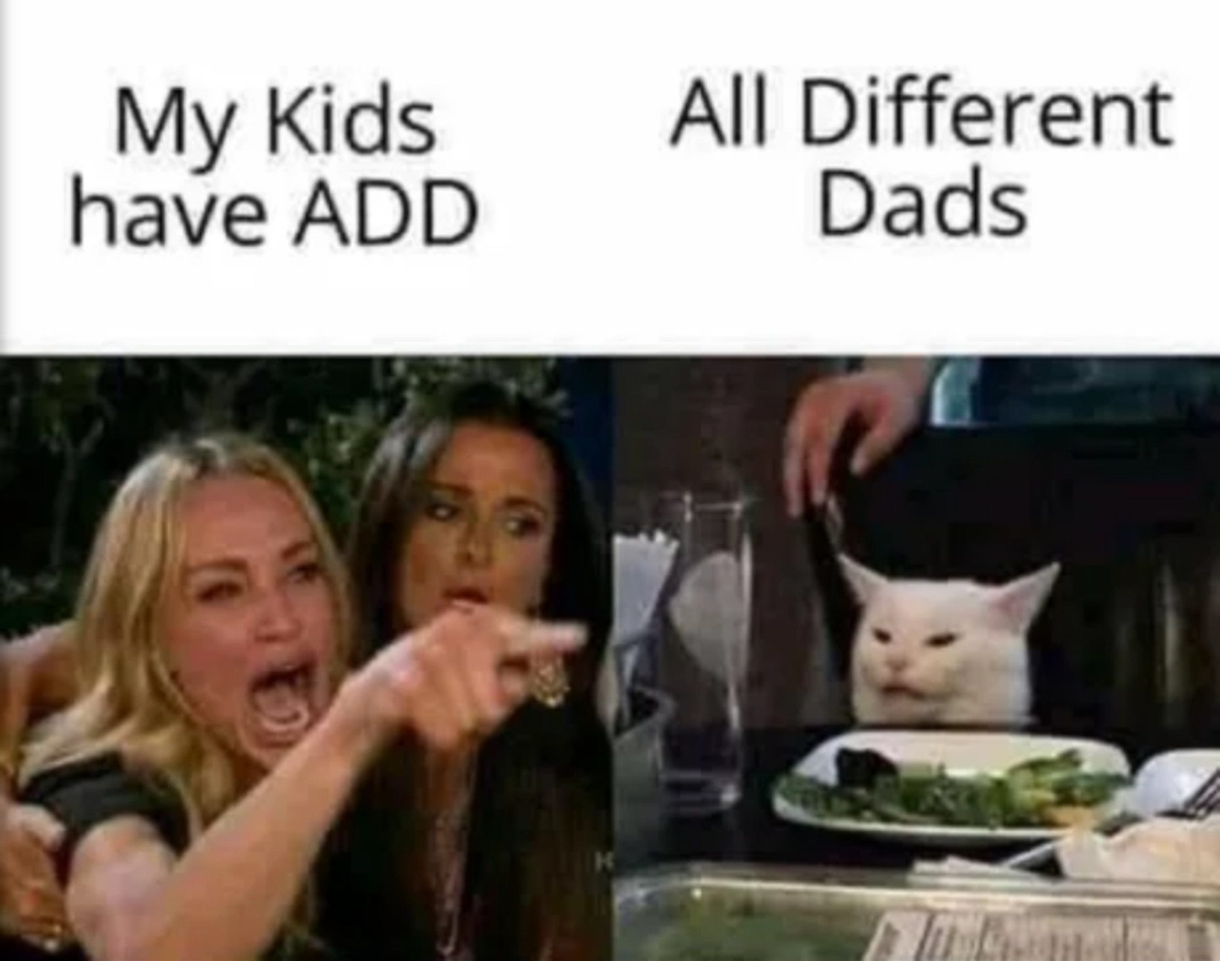 All different dad's - meme