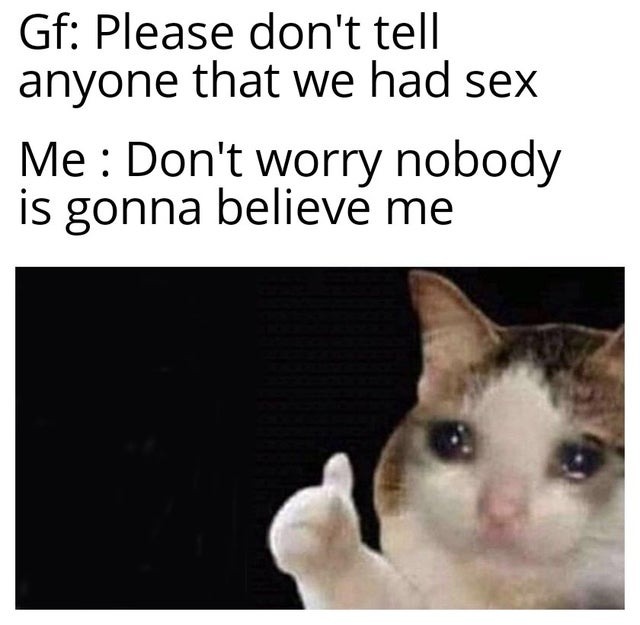 Please do not tell anyone that we had sex - meme