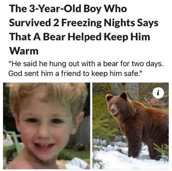 Good bear - meme