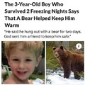 Good bear