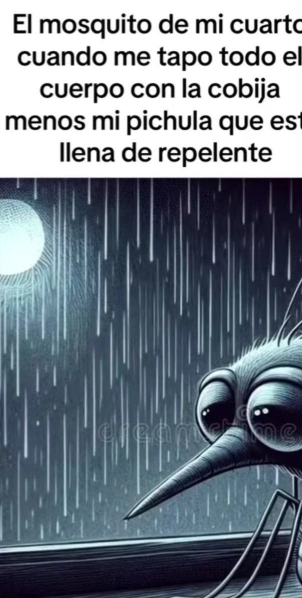 te regalaste mosquito - meme