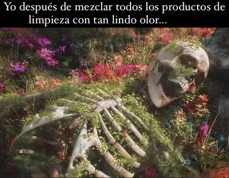 el mejor olor que he probado - meme
