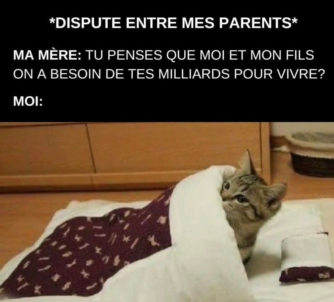 pauvres mais fiers - meme