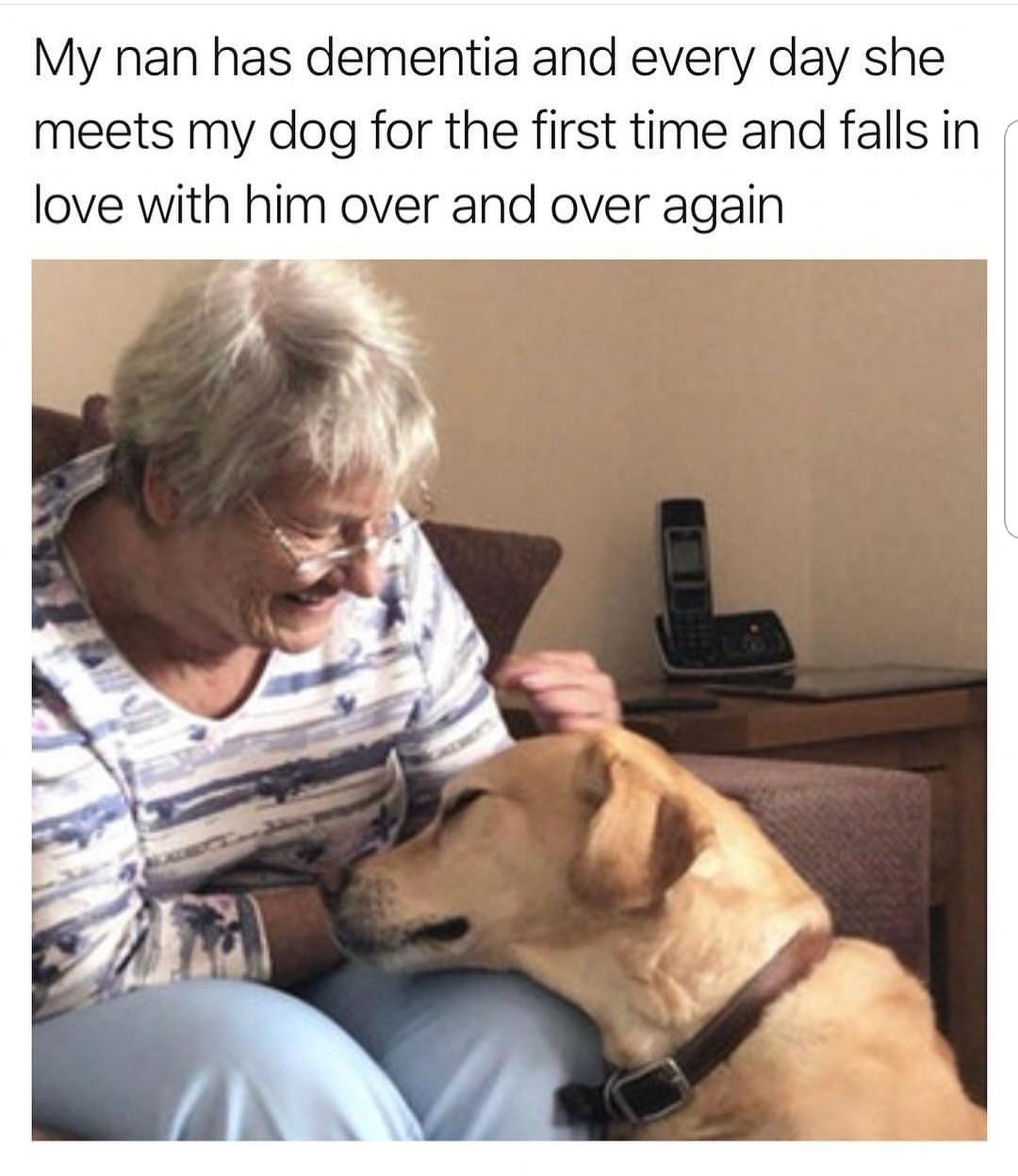 A dog's company always appreciated even if one cannot remember - meme