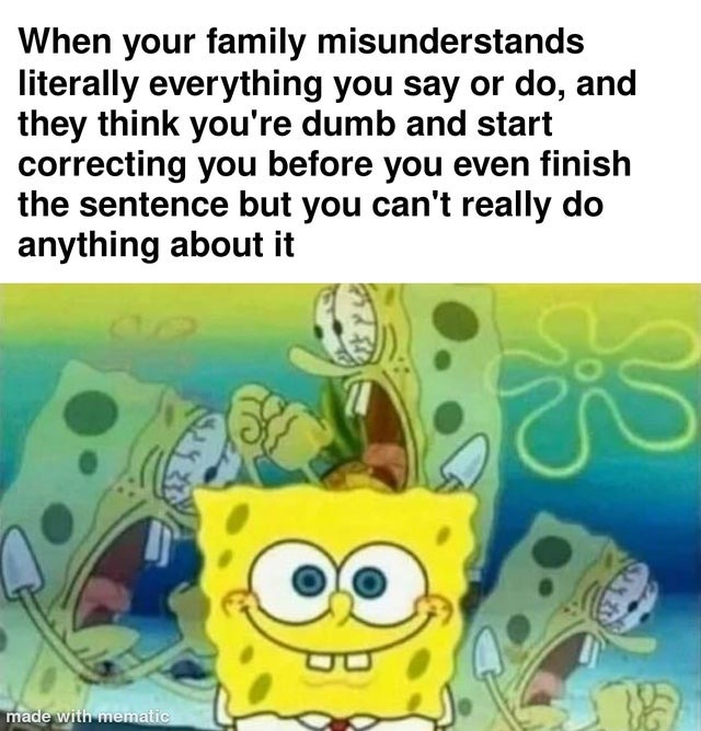 When family misunderstands you - meme