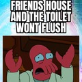Toilet drama