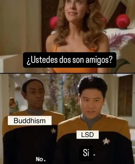 Ustedes son amigos? Buddhism y LSD: sí bro, almas gemelas - meme