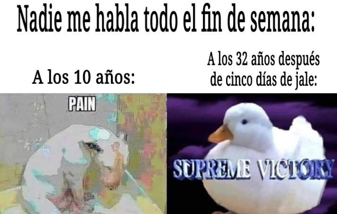 Cuando nadie te escribe el finde pero igual agradeces el silencio - meme