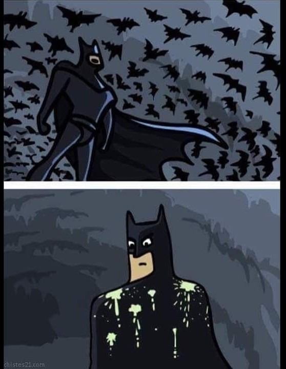 Bat poo - meme