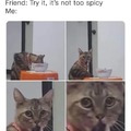 It's spicy