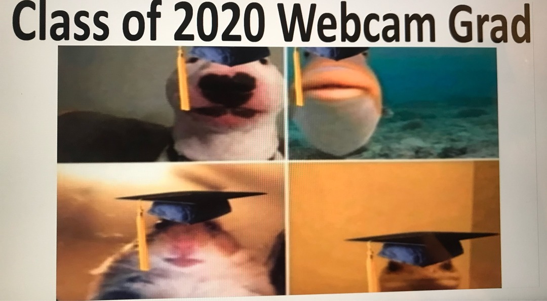 REAL FOOTAGE YALL - meme