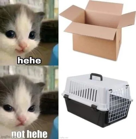 Same but different, but still the same - A box is a box! - meme
