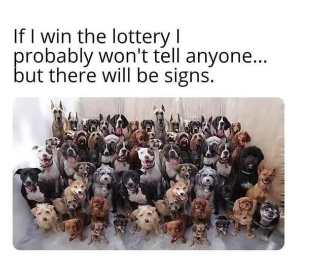 The Best Lottery Memes Memedroid